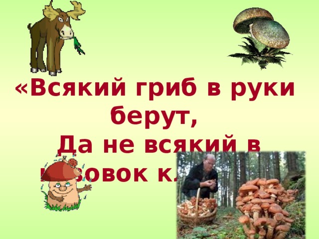 «Всякий гриб в руки берут,  Да не всякий в кузовок кладут»