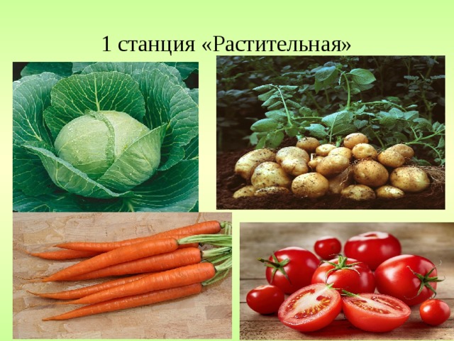 1 станция «Растительная»