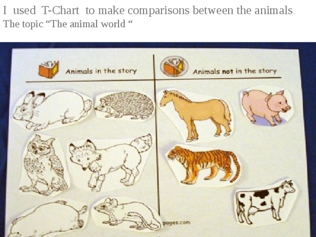 I used T-Chart to make comparisons between the animals . The topic “The animal world “ 