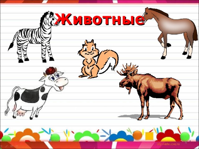 Животные  