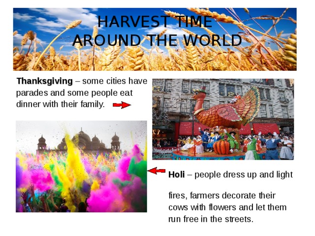 HARVEST TIME  AROUND THE WORLD Thanksgiving – some cities have parades and some people eat dinner with their family.  Holi – people dress up and light  fires, farmers decorate their  cows with flowers and let them  run free in the streets. 