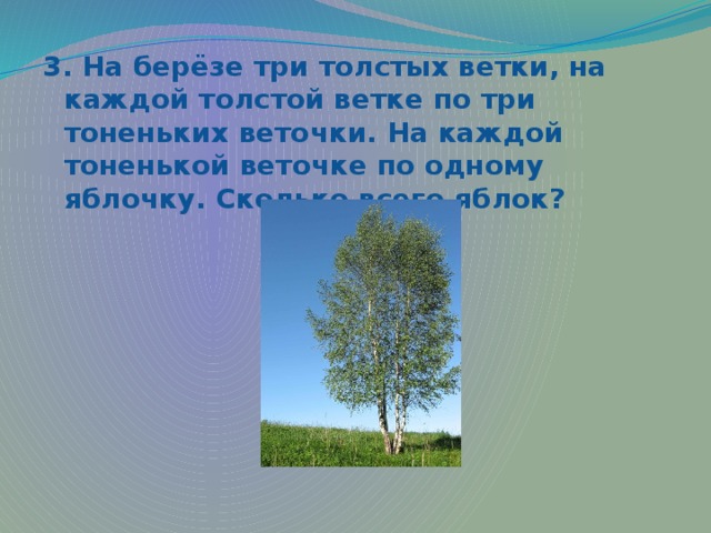 3. На берёзе три толстых ветки, на каждой толстой ветке по три тоненьких веточки. На каждой тоненькой веточке по одному яблочку. Сколько всего яблок? 