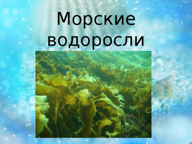 Водное сырье