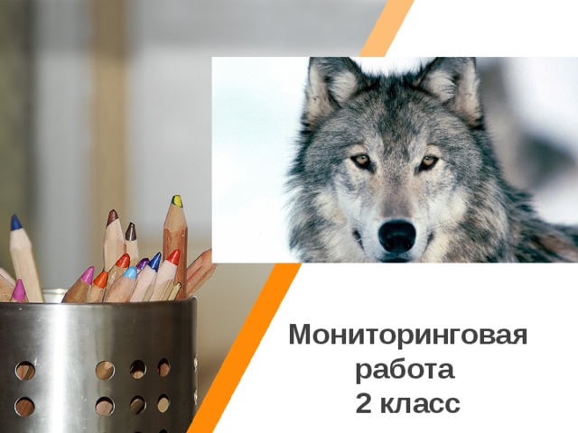 Мониторинговая работа 2 класс 