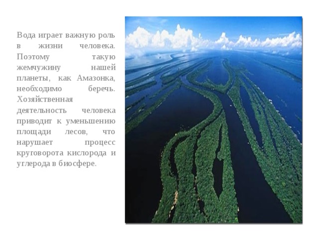 Вода играет важную роль в жизни человека. Поэтому такую жемчужину нашей планеты,  как Амазонка, необходимо беречь. Хозяйственная деятельность человека приводит к уменьшению площади лесов, что нарушает процесс круговорота кислорода и углерода в биосфере. 
