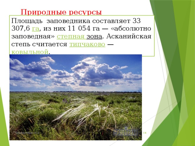 Какие природные комплексы отличаются от степи. Ресурсы степи. Природные ресурсы степи. Природные ресурсы степи в России. Биологические ресурсы степи.