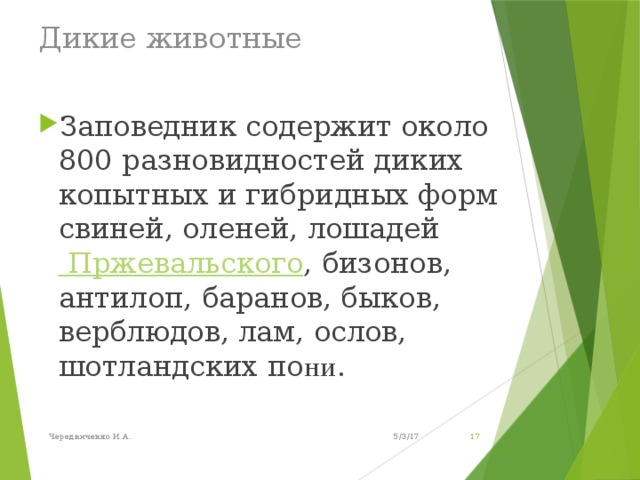 Дикие животные    Заповедник содержит около 800 разновидностей диких копытных и гибридных форм свиней, оленей, лошадей Пржевальского , бизонов, антилоп, баранов, быков, верблюдов, лам, ослов, шотландских по ни. Заповедник содержит около 800 разновидностей диких копытных и гибридных форм свиней, оленей, лошадей Пржевальского , бизонов, антилоп, баранов, быков, верблюдов, лам, ослов, шотландских по ни. 5/3/17 Чередниченко И.А.  