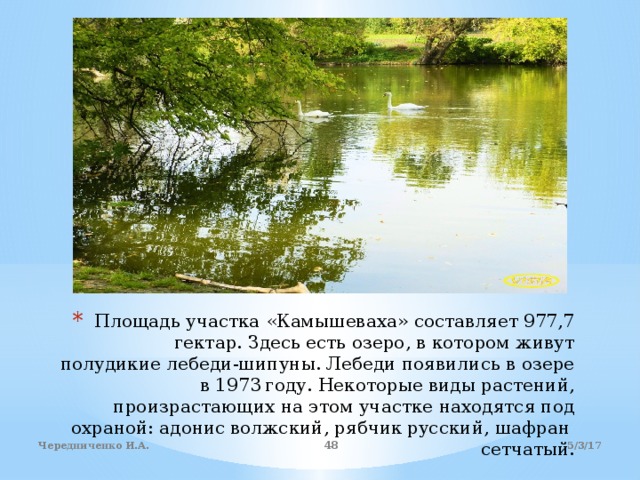 Площадь участка «Камышеваха» составляет 977,7 гектар. Здесь есть озеро, в котором живут полудикие лебеди-шипуны. Лебеди появились в озере в 1973 году. Некоторые виды растений, произрастающих на этом участке находятся под охраной: адонис волжский, рябчик русский, шафран сетчатый. 5/3/17 Чередниченко И.А.  