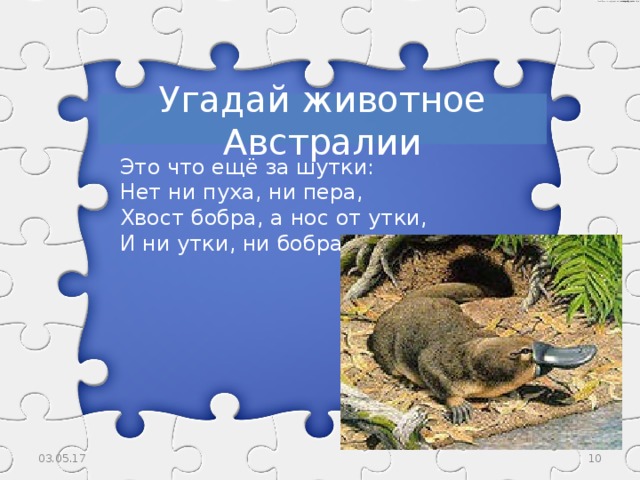 Угадай животное Австралии Это что ещё за шутки: Нет ни пуха, ни пера, Хвост бобра, а нос от утки, И ни утки, ни бобра? 03.05.17  