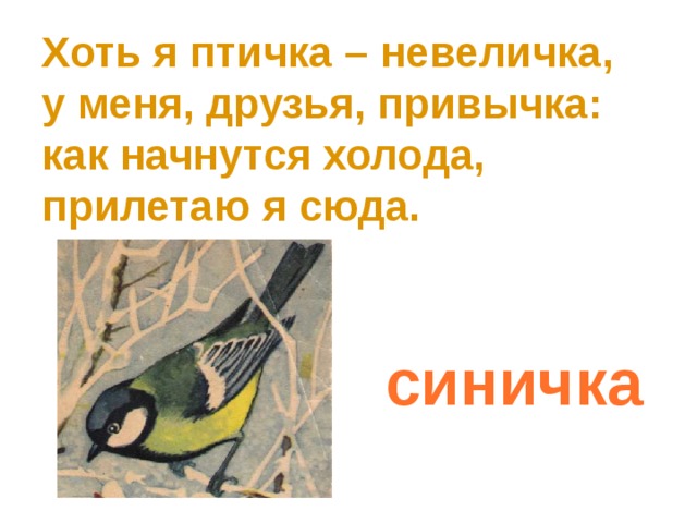Хоть я птичка – невеличка,  у меня, друзья, привычка:  как начнутся холода,  прилетаю я сюда. синичка 