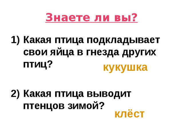 Знаете ли вы? Какая птица подкладывает свои яйца в гнезда других птиц?  Какая птица выводит птенцов зимой?   кукушка клёст 
