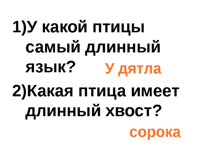  У какой птицы самый длинный язык? Какая птица имеет длинный хвост?   У дятла сорока 