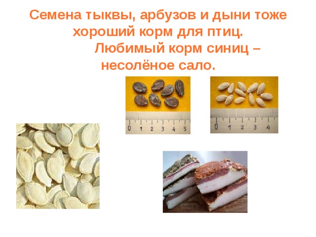 Семена тыквы, арбузов и дыни тоже хороший корм для птиц.  Любимый корм синиц – несолёное сало. 