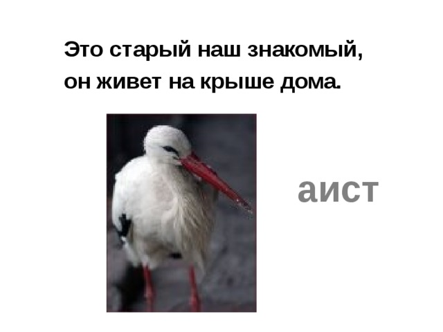   Это старый наш знакомый,  он живет на крыше дома.    аист 