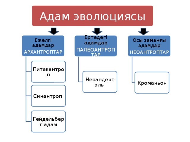 Windows эволюциясы туралы не білуім керек