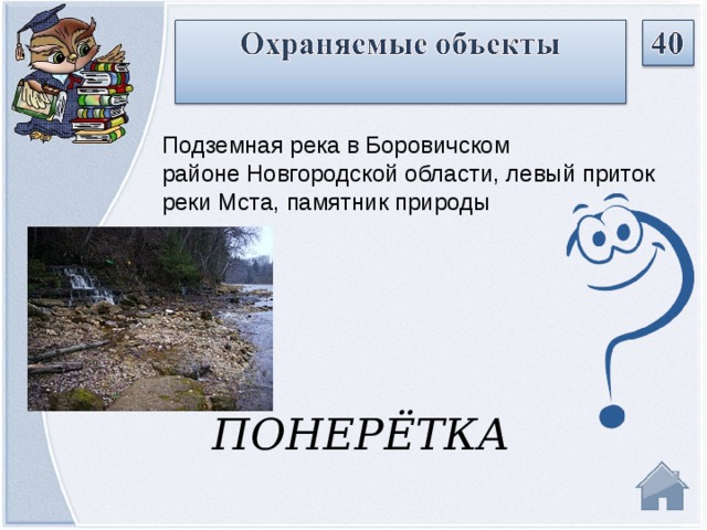 Подземная река в Боровичском районе Новгородской области, левый приток реки Мста, памятник природы ПОНЕРЁТКА  