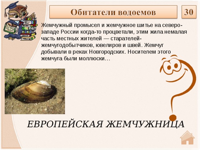 Жемчужный промысел и жемчужное шитье на северо-западе России когда-то процветали, этим жила немалая часть местных жителей — старателей-жемчугодобытчиков, ювелиров и швей. Жемчуг добывали в реках Новгородских. Носителем этого жемчуга были моллюски… ЕВРОПЕЙСКАЯ ЖЕМЧУЖНИЦА  