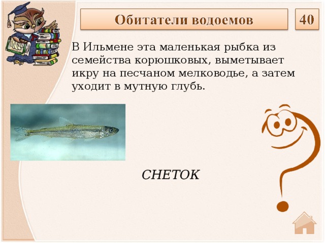 В Ильмене эта маленькая рыбка из семейства корюшковых, выметывает икру на песчаном мелководье, а затем уходит в мутную глубь.  СНЕТОК  