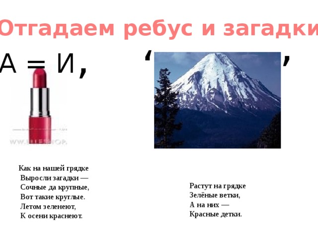 , Отгадаем ребус и загадки , , А = И Как на нашей грядке  Выросли загадки —  Сочные да крупные,  Вот такие круглые.  Летом зеленеют,  К осени краснеют. Растут на грядке Зелёные ветки, А на них — Красные детки. 