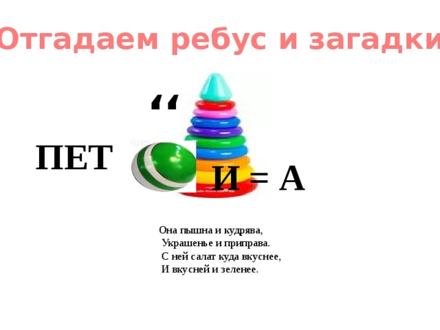 ,, Отгадаем ребус и загадки ПЕТ И = А Она пышна и кудрява,  Украшенье и приправа.  С ней салат куда вкуснее,  И вкусней и зеленее. 