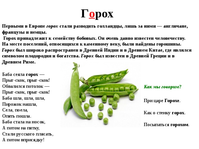 Г о рох Первыми в Европе горох стали разводить голландцы, лишь за ними — англичане, французы и немцы.  Горох принадлежит к семейству бобовых. Он очень давно известен человечеству. На месте поселений, относящихся к каменному веку, были найдены горошины. Горох был широко распространен в Древней Индии и в Древнем Китае, где являлся символом плодородия и богатства. Горох был известен в Древней Греции и в Древнем Риме. Баба сеяла горох — Прыг-скок, прыг-скок! Обвалился потолок — Прыг-скок, прыг-скок! Баба шла, шла, шла, Пирожок нашла, Села, поела, Опять пошла. Баба стала на носок, А потом на пятку, Стали русского плясать, А потом вприсядку! Как мы говорим ? При царе Горохе . Как о стенку горох . Посыпаться горохом . 