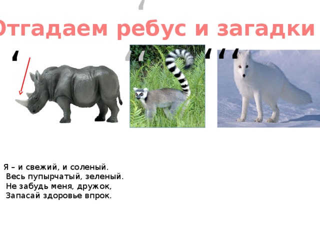 , ,,, ,,, Отгадаем ребус и загадки Я – и свежий, и соленый.  Весь пупырчатый, зеленый.  Не забудь меня, дружок,  Запасай здоровье впрок.  