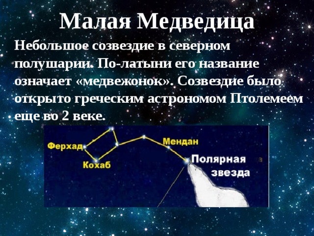 Малая Медведица Небольшое созвездие в северном полушарии. По-латыни его название означает «медвежонок». Созвездие было открыто греческим астрономом Птолемеем еще во 2 веке. 