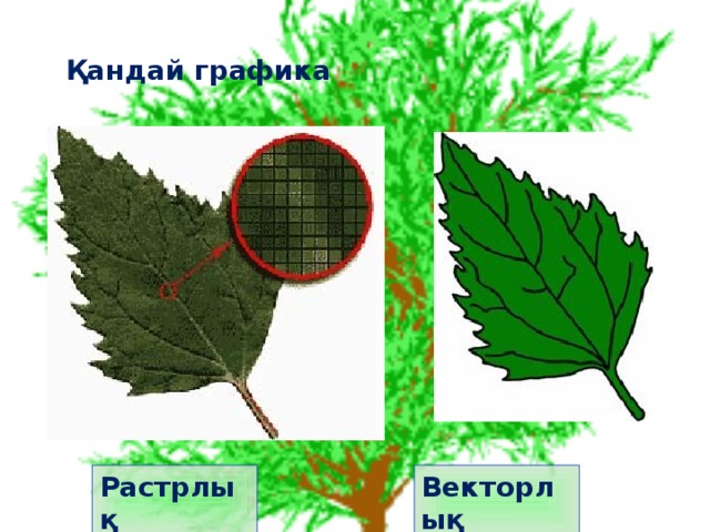 Компьютерлік графика презентация