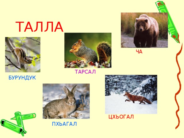 Фиагальный диктант