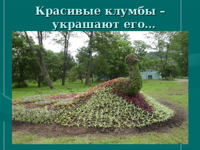 Красивые клумбы –  украшают его… 