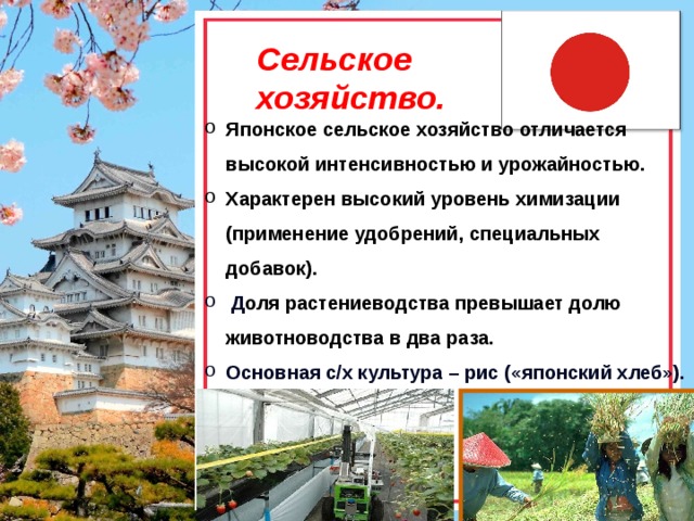 Презентация экономика японии 11 класс