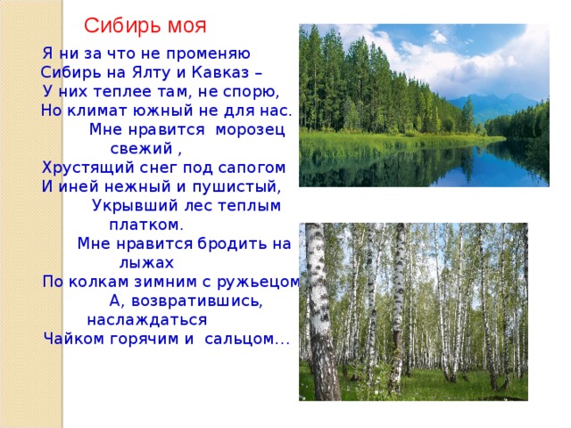 Сибирь моя Я ни за что не променяю  Сибирь на Ялту и Кавказ –  У них теплее там, не спорю,  Но климат южный не для нас.  Мне нравится морозец свежий ,  Хрустящий снег под сапогом  И иней нежный и пушистый,  Укрывший лес теплым платком.  Мне нравится бродить на лыжах  По колкам зимним с ружьецом,  А, возвратившись, наслаждаться  Чайком горячим и сальцом…  