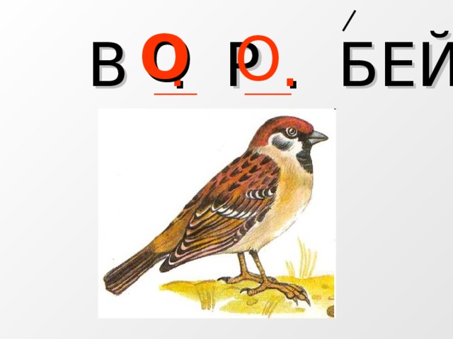 В . Р . БЕЙ О О