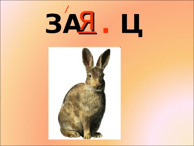 Я ЗА . Ц
