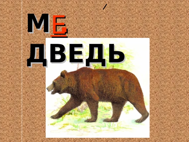 М . ДВЕДЬ Е