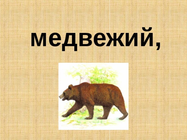 медвежий,