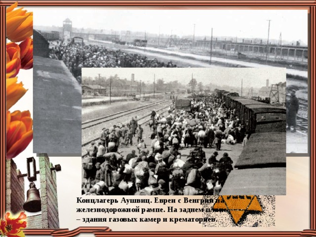 Концлагерь Аушвиц. Евреи с Венгрии на железнодорожной рампе. На заднем плане – здания газовых камер и крематориев. 