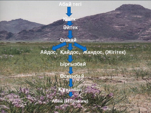  Абай тегі     Кішік     Әйтек          Олжай   Айдос, Қайдос, Жандос, (Жігітек)   Ырғызбай   Өскенбай              Құнанбай  Абай (Ибраһим) 