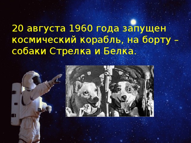 20 августа 1960 года запущен космический корабль, на борту – собаки Стрелка и Белка.  