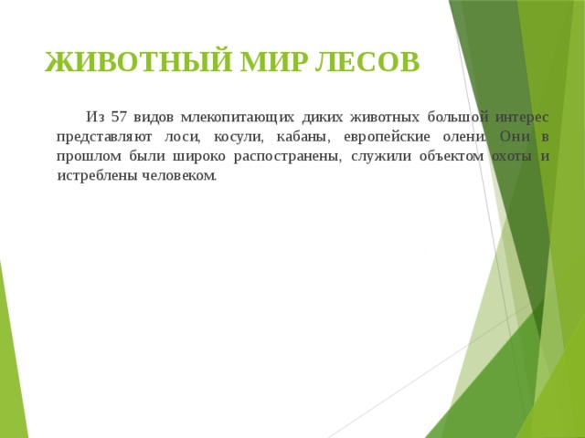 ЖИВОТНЫЙ МИР ЛЕСОВ   Из 57 видов млекопитающих диких животных большой интерес представляют лоси, косули, кабаны, европейские олени. Они в прошлом были широко распостранены, служили объектом охоты и истреблены человеком. 