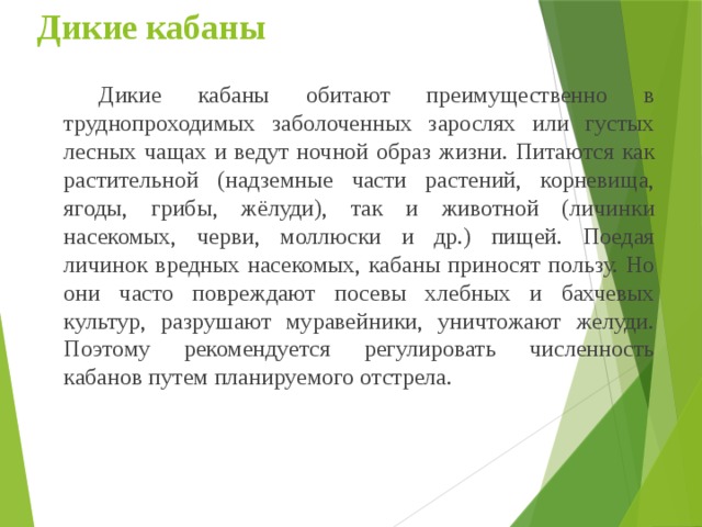 Дикие кабаны   Дикие кабаны обитают преимущественно в труднопроходимых заболоченных зарослях или густых лесных чащах и ведут ночной образ жизни. Питаются как растительной (надземные части растений, корневища, ягоды, грибы, жёлуди), так и животной (личинки насекомых, черви, моллюски и др.) пищей. Поедая личинок вредных насекомых, кабаны приносят пользу. Но они часто повреждают посевы хлебных и бахчевых культур, разрушают муравейники, уничтожают желуди. Поэтому рекомендуется регулировать численность кабанов путем планируемого отстрела. 