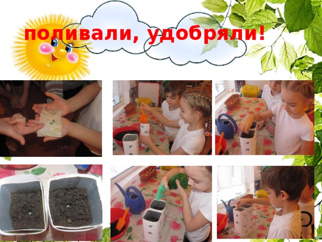 поливали, удобряли! 3 