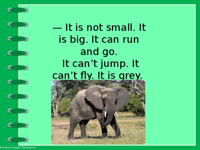 — It is not small. It is big. It can run and go.  It can’t jump. It can’t fly. It is grey. 