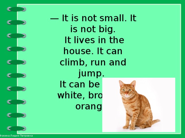 — It is not small. It is not big.  It lives in the house. It can climb, run and jump. It can be grey, white, brown or orange. 