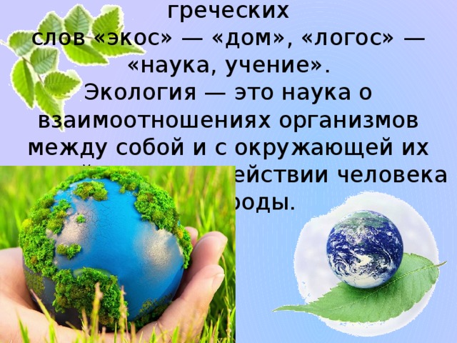 Экология.  Название этой науки происходит от греческих  слов «экос» — «дом», «логос» — «наука, учение».  Экология — это наука о взаимоотношениях организмов между собой и с окружающей их средой, о взаимодействии человека и природы. 