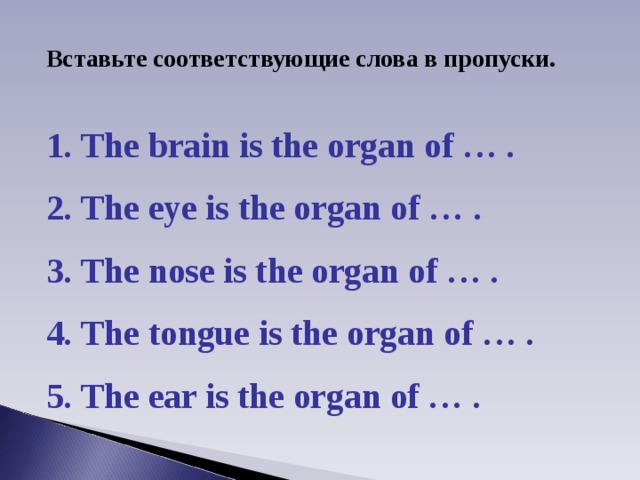 Вставьте соответствующие слова в пропуски. 1. The brain is the organ of … . 2. The eye is the organ of … . 3. The nose is the organ of … . 4. The tongue is the organ of … . 5. The ear is the organ of … . 