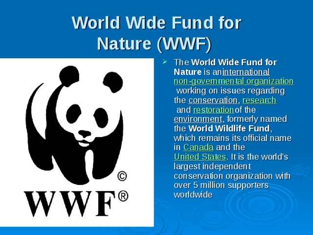 Wwf презентация на английском