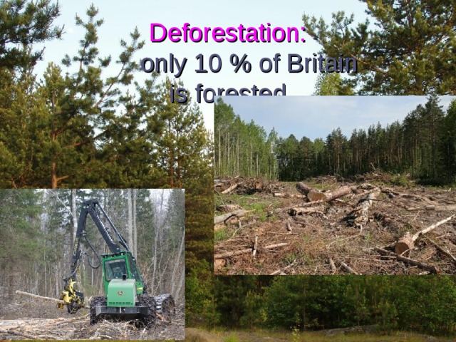 Deforestation:   only 10 % of Britain  is forested 