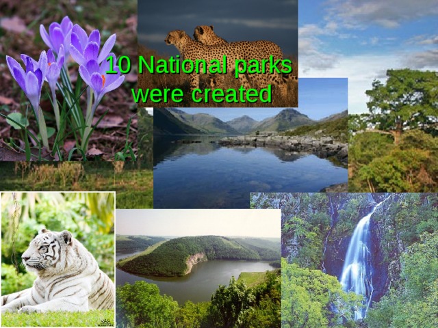 10 National parks  were created 