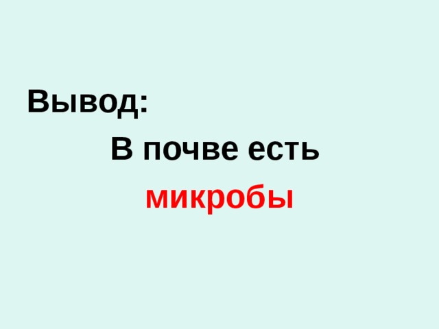 Вывод: В почве есть микробы 